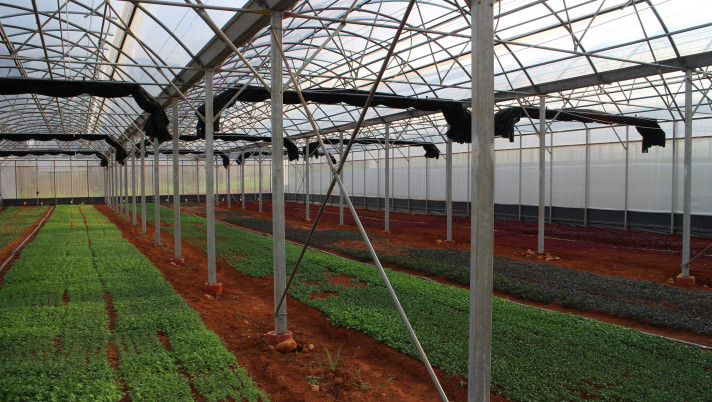 farm-e1434759686956 farm-e1434759686956