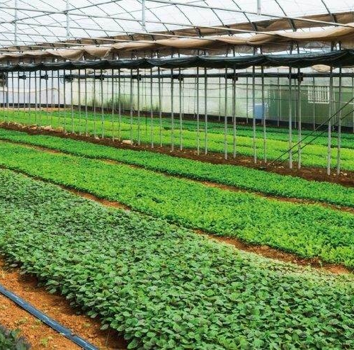 Refined Agriculture