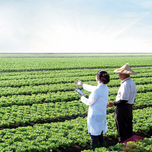 Crop Protection