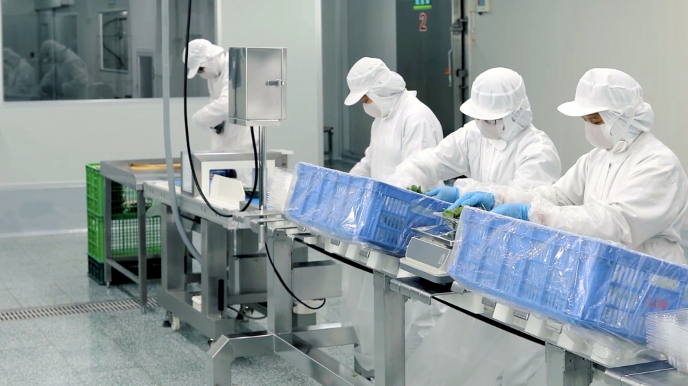 蔬果加工廠02 蔬果加工廠02